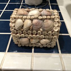Unique Seashell Box For Trinkets 