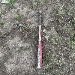 Bat