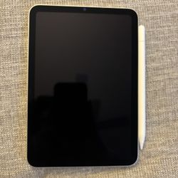 iPad Mini Starlight 