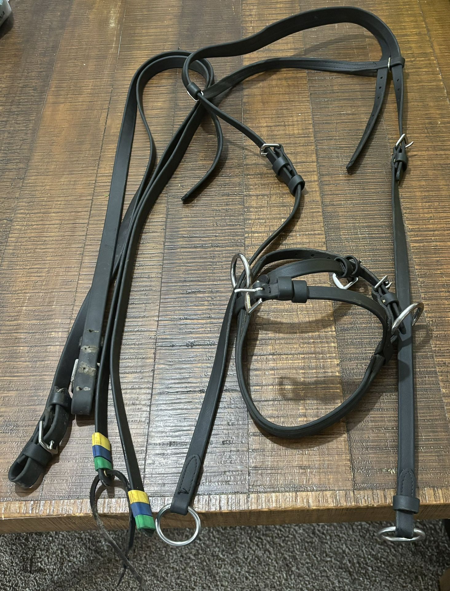 Hackamore And Reins