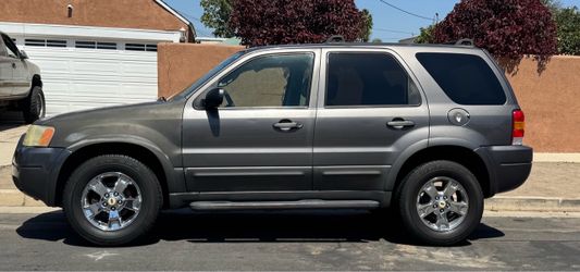 Ford Escape SUV Gray Chrome Wheels