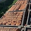 100,000 Tiles! Vintage & Antique Roofing Tile at National Nursery!  
