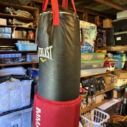 Everlast Punching Bag