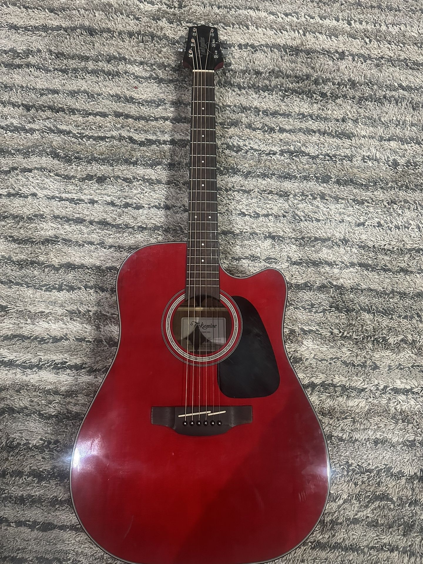 Takamine G Series