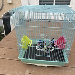 Bird Cage