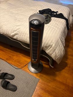 Stand up Fan $20