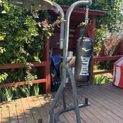 Everlast punching bag