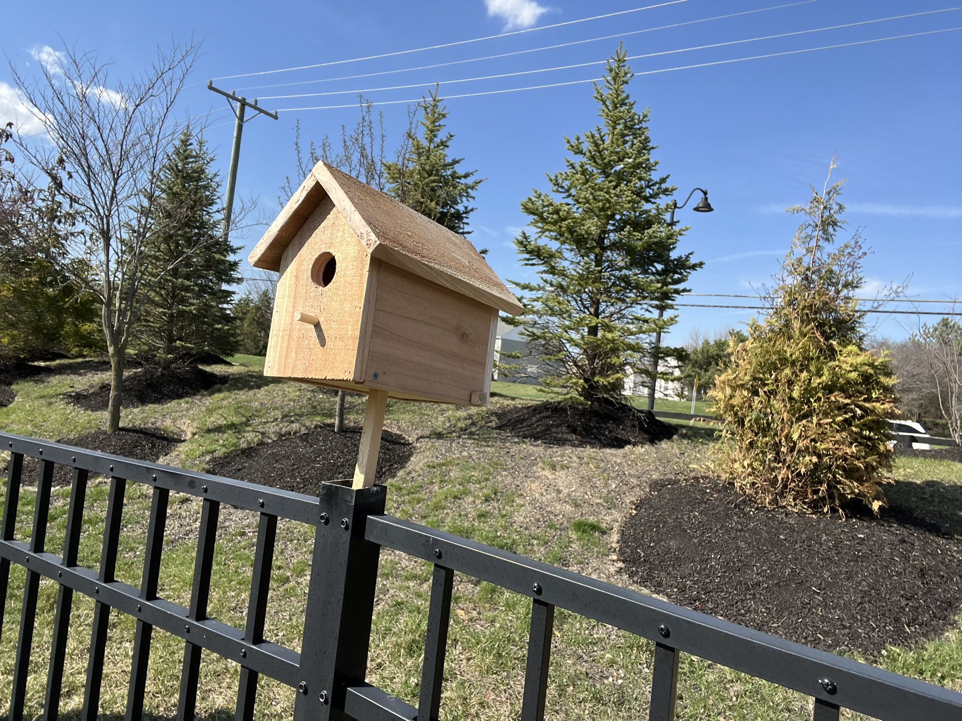 Blue Bird House - Cedar
