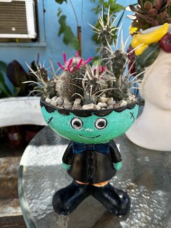Cactus Halloween 👻
