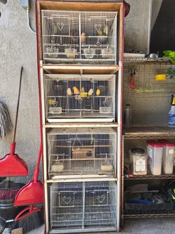 Canarie cages for sale