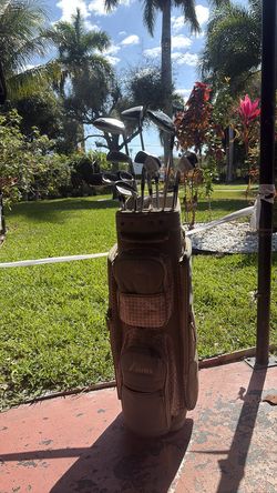 Golf bag holder and the golf sticks