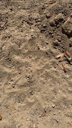 Soil fill dirt