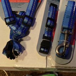 Dog Harness Leash And Collar Set