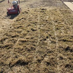 Power Rake Lawn Aeration 