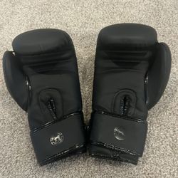 Venum Boxing Gloves 