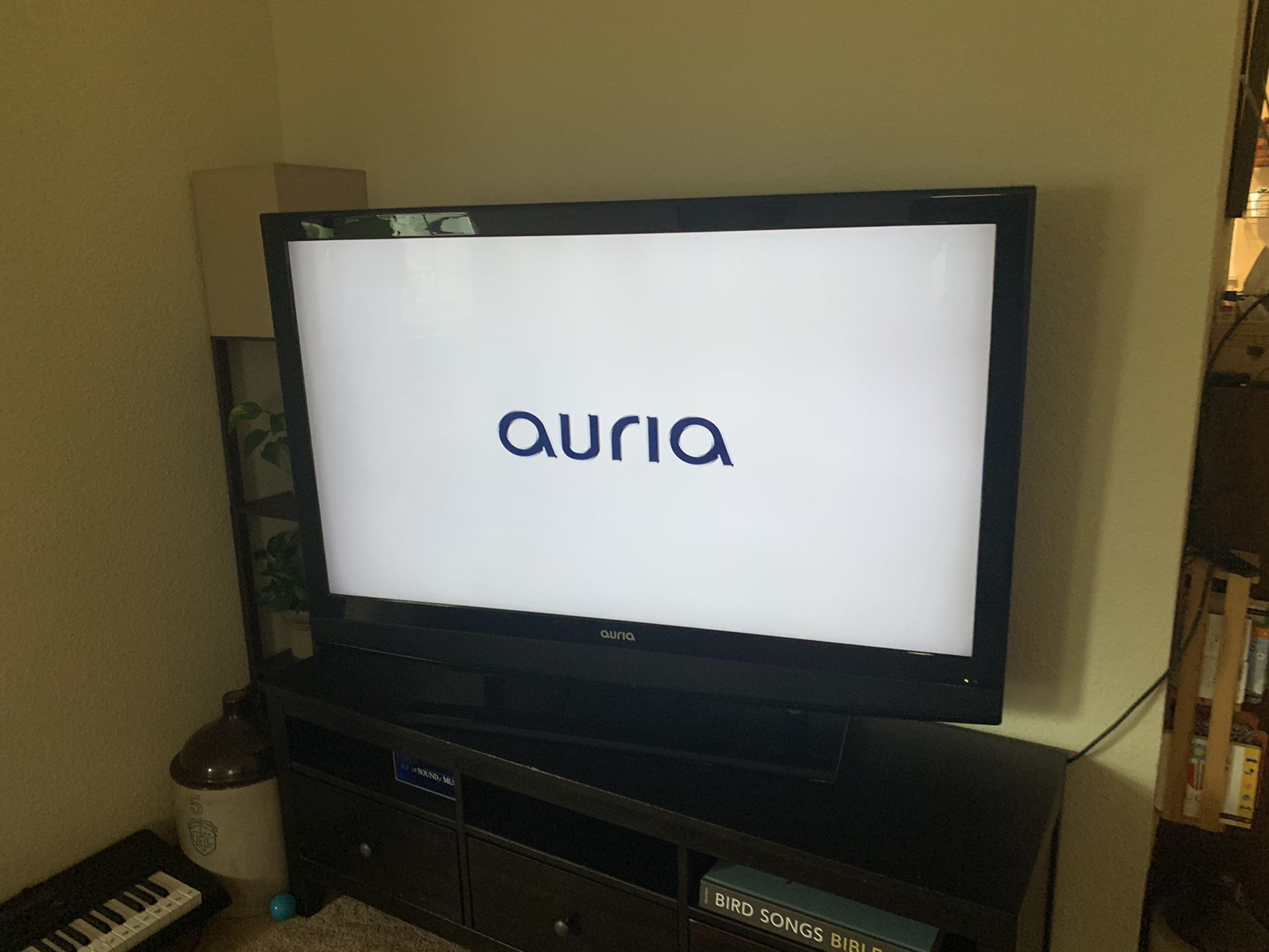 Auria 55” Flatscreen HDTV