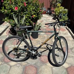 Schwinn Moab Mountain Bike