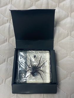 Real Orb-Weaver Spider in Resin