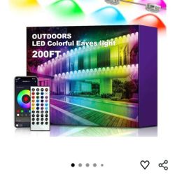 Permanent Outdoor Lights