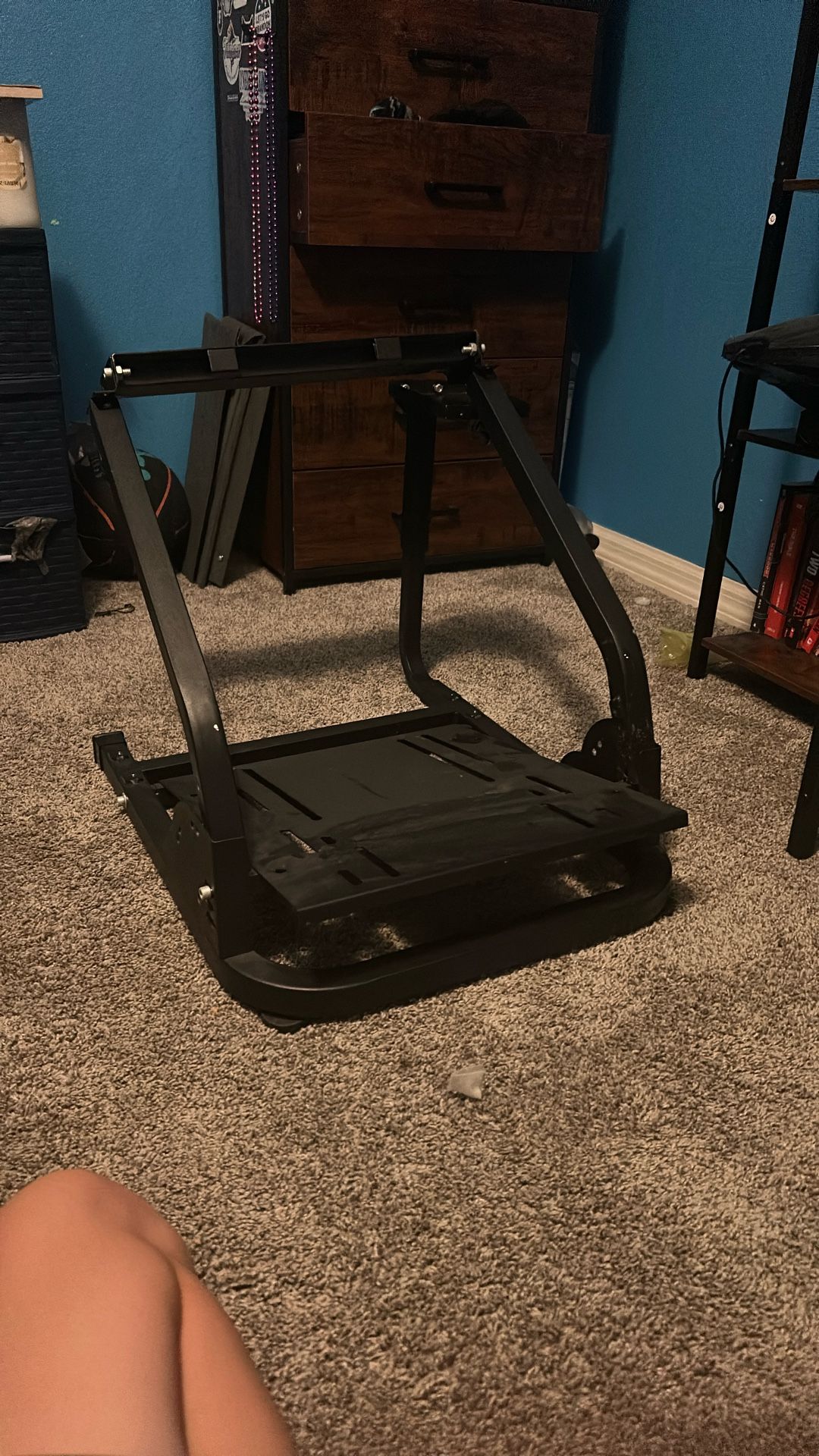 Car racing Sim Stand
