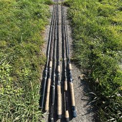 Bait Caster / Fishing Poles 