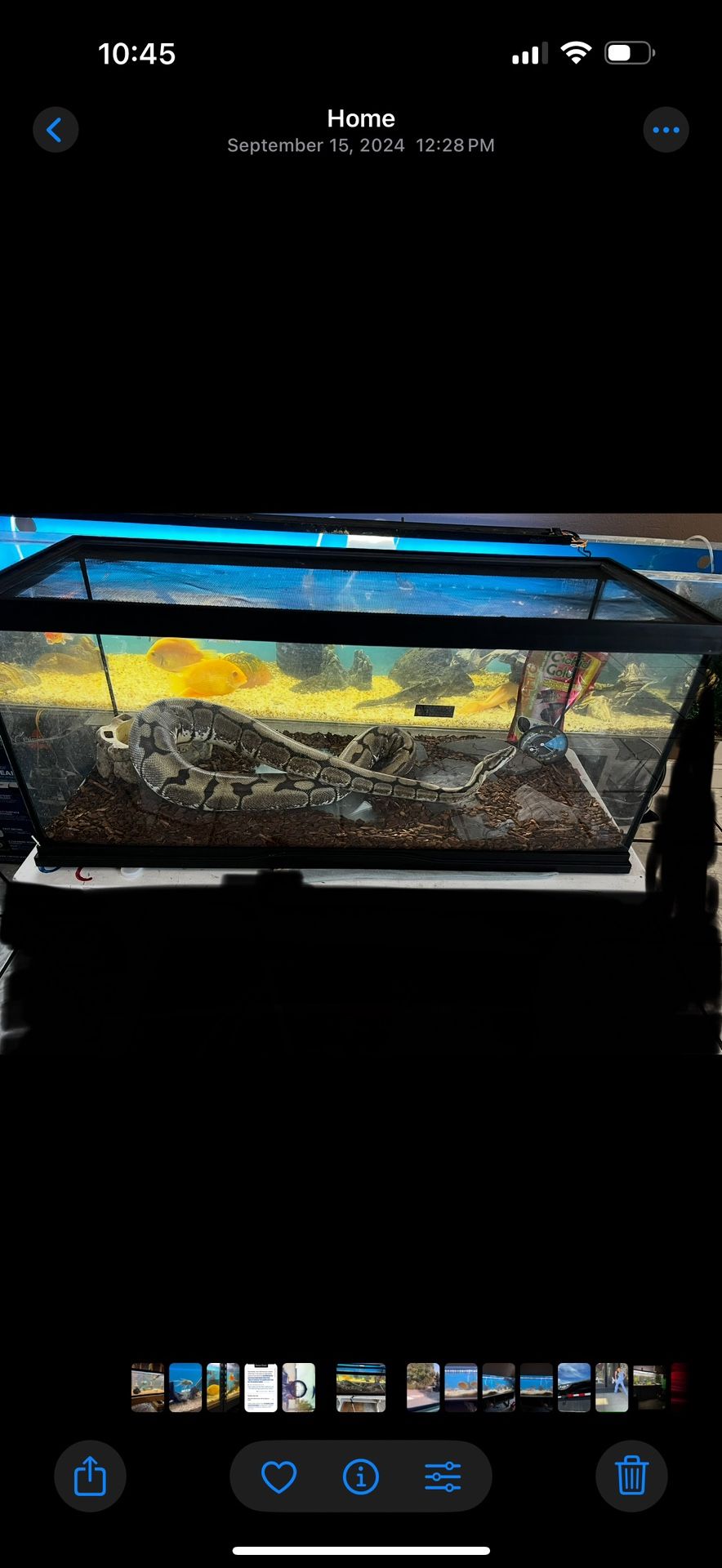 25 Gallon Reptile Terrarium