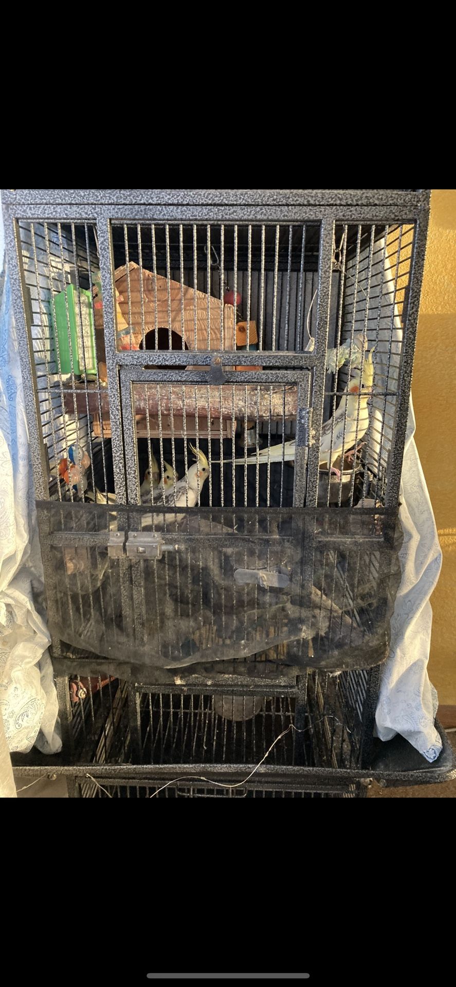 cage