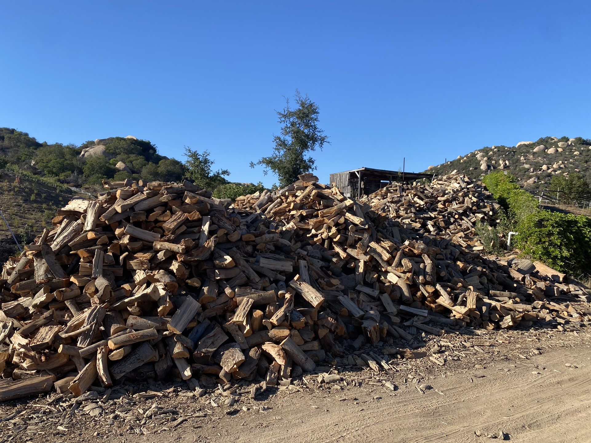  Firewood 
