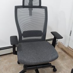 Autonomous ErgoChair Recline Office/Gaming Chair