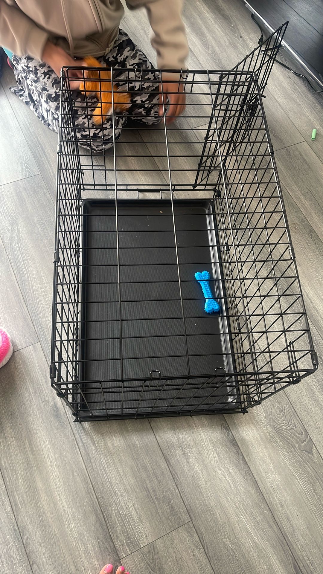 Dog Kennel