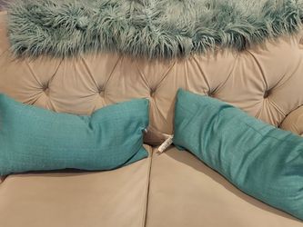 2 Throw Pillows And Throw Blanket