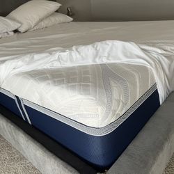 Bed + Mattress 