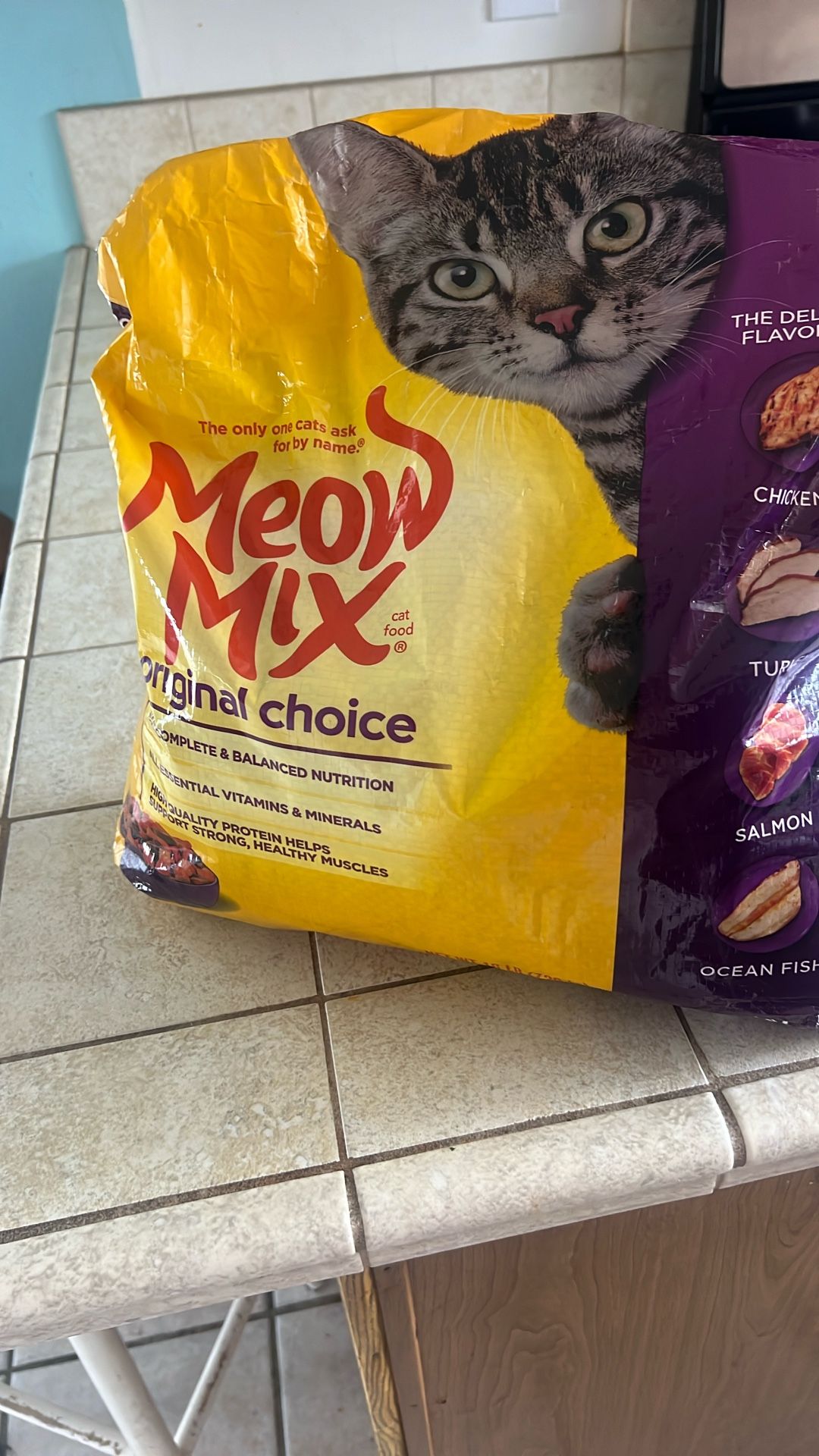 Cat. Food. Melon. Mix.