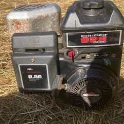Briggs & Stration motor