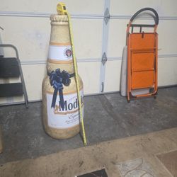 Botella De Modelo