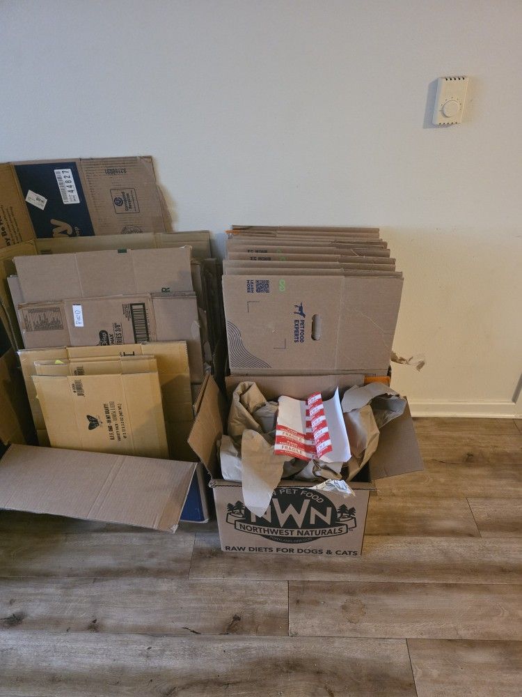 Moving Boxes And Packing Paper
