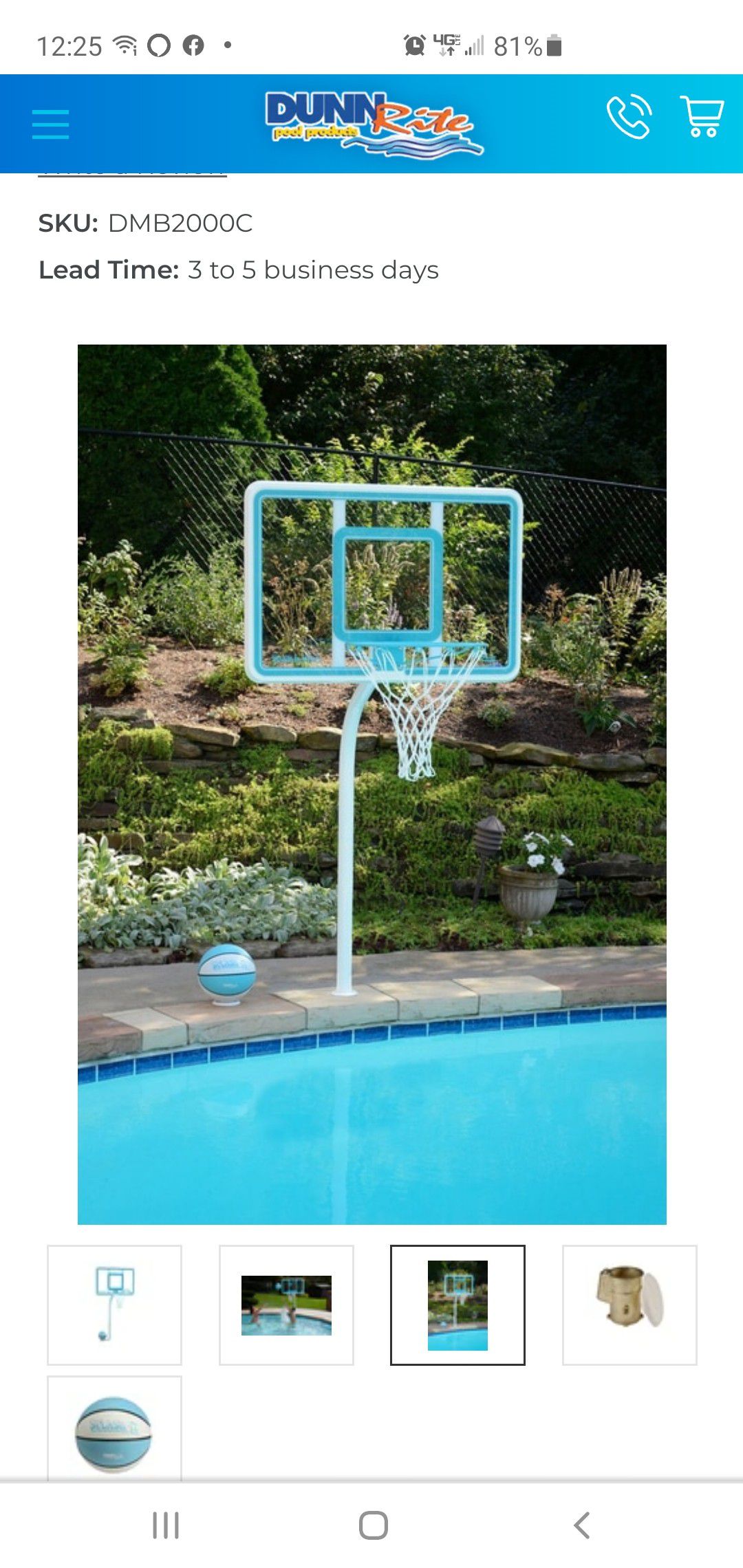 Dunn Rite Poolside Basketball Hoop