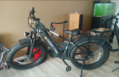 Electric Bike