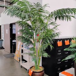 Giant Faux Palm Tree