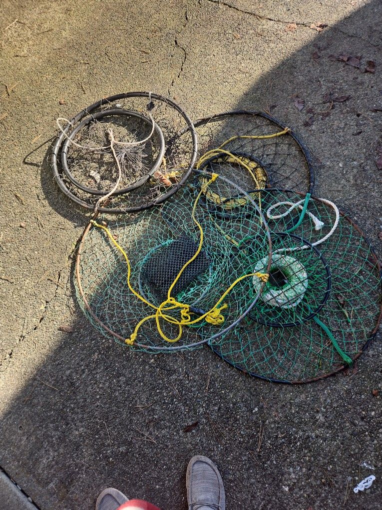 Crab Rings for Sale in Porter, WA - OfferUp