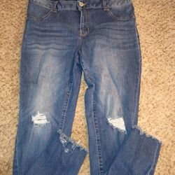 Maurices Jeans Size 16