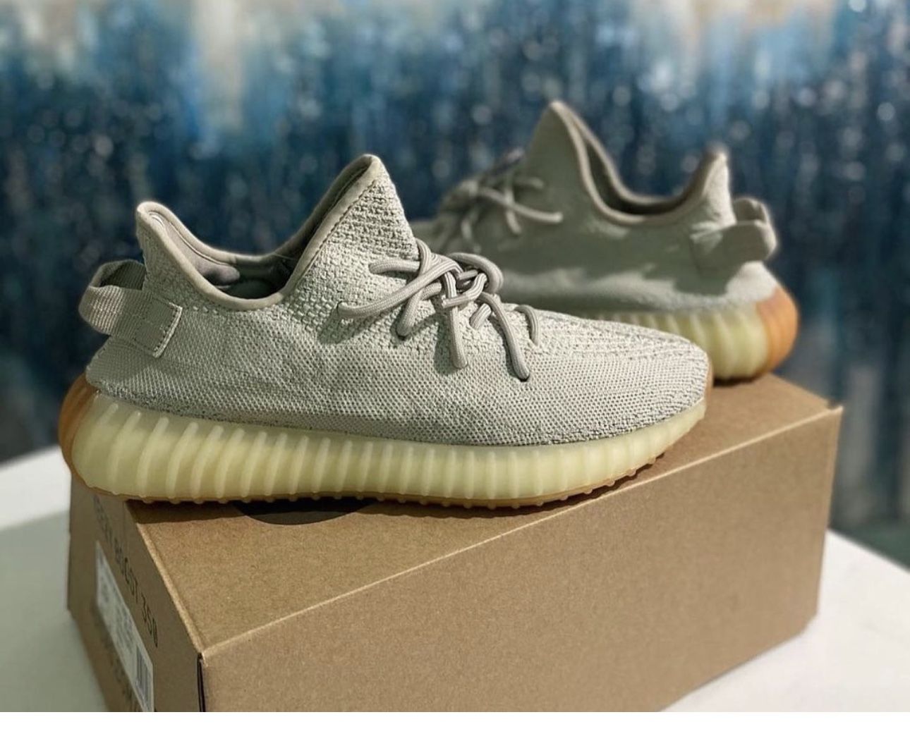 Yeezy Adidas Shoes
