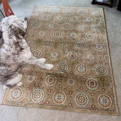 46in x 66in Rug