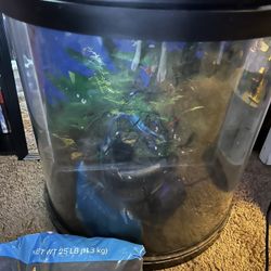 10 gallon Half Cylinder Fish Tank