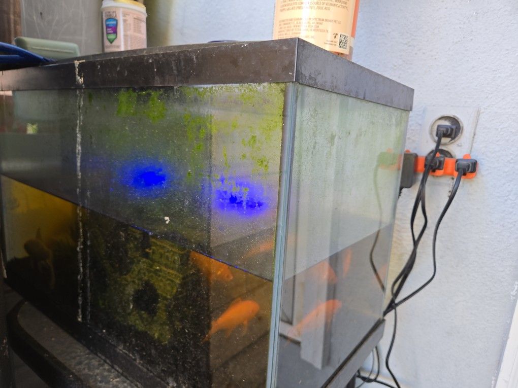 Fish Tank With 4 Fish , Filter  , Heater And Lights , Food Included 
