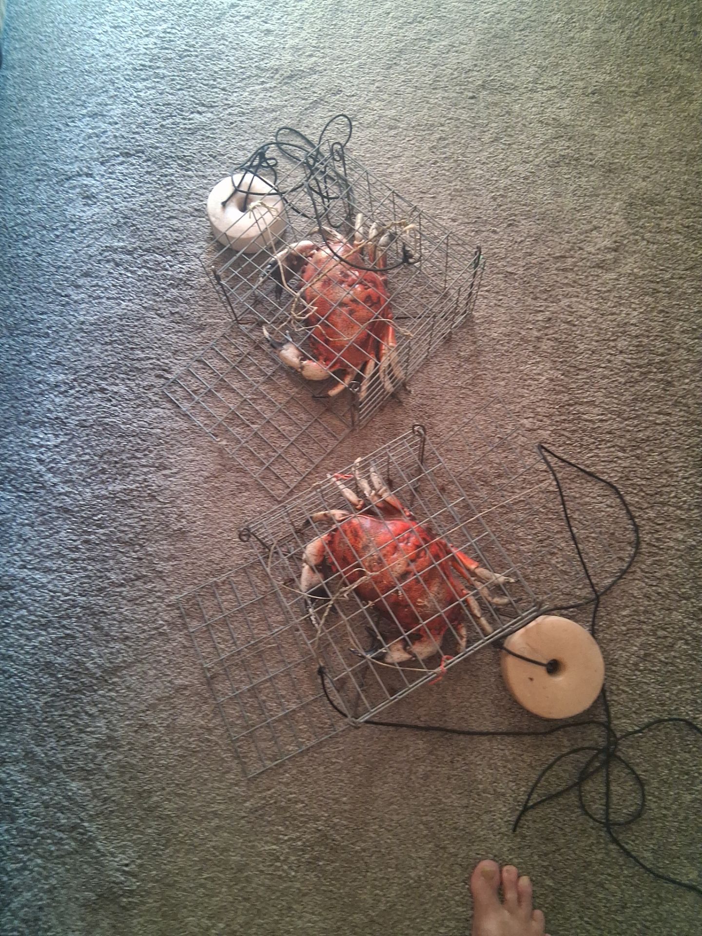 Old crab pots