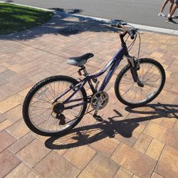 Iron Horse Dual Suspension Mountain Bike

