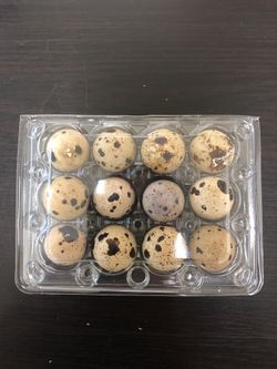 Quail Eggs $5per dozen