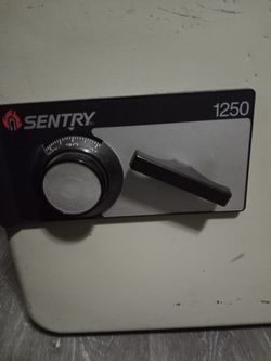Sentry 1250 Safe