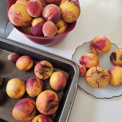 Fresh Organic Plum ,nectar 